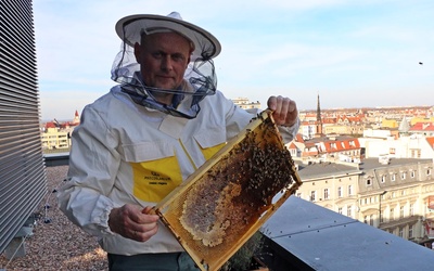 "Święty Ambroży miodu dołoży" - czy dołożył w tym roku?