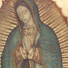 Jutro różaniec do Matki Bożej z Guadalupe