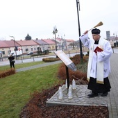 Żabno. Papieski plac z dębem