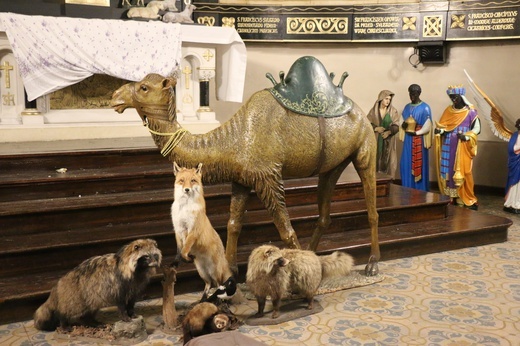Panewniki. Budowa szopki