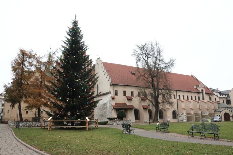 Choinkowe światełka przed Oknem Papieskim