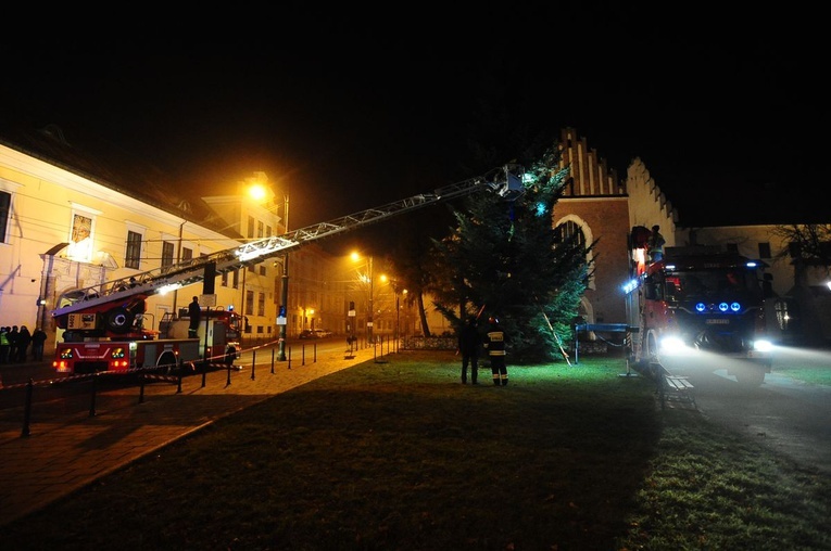 Osadzanie choinki przed Oknem Papieskim