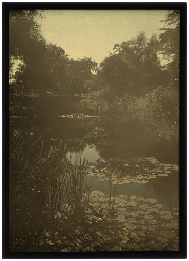 Autochromy prof. Jana Zdzisława Włodka