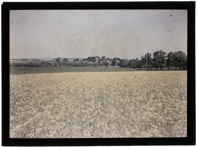 Autochromy prof. Jana Zdzisława Włodka