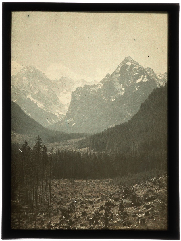 Autochromy prof. Jana Zdzisława Włodka