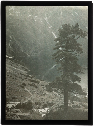 Autochromy prof. Jana Zdzisława Włodka