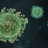 Nowa, szybko rozprzestrzeniająca się odmiana koronawirusa. Co o niej wiemy?
