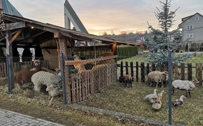 Żywa szopka w Niskowej