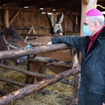 Żywa szopka w Sandomierzu