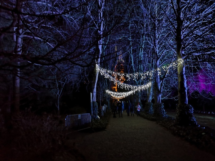 Zimowa iluminacja Ogrodu Botanicznego we Wrocławiu