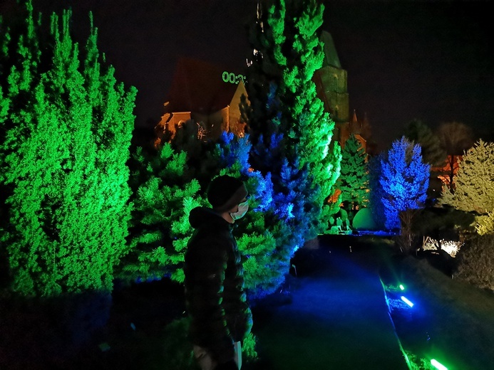 Zimowa iluminacja Ogrodu Botanicznego we Wrocławiu