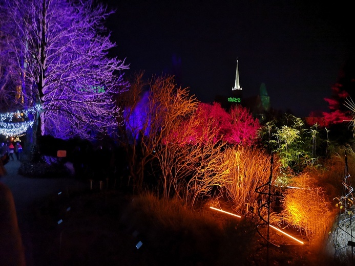 Zimowa iluminacja Ogrodu Botanicznego we Wrocławiu