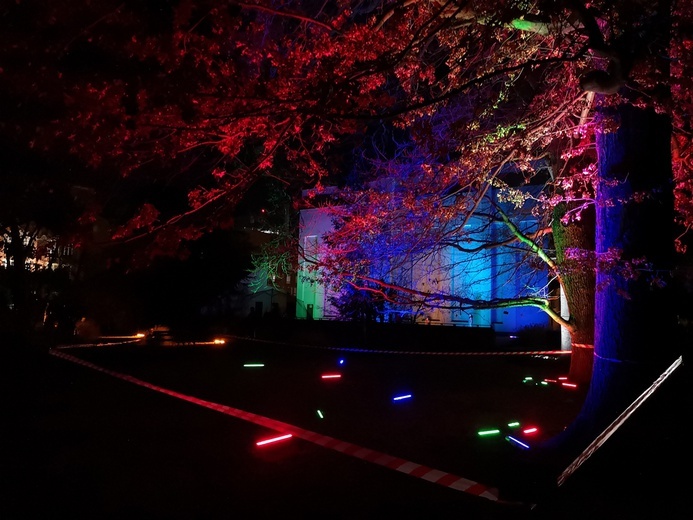 Zimowa iluminacja Ogrodu Botanicznego we Wrocławiu