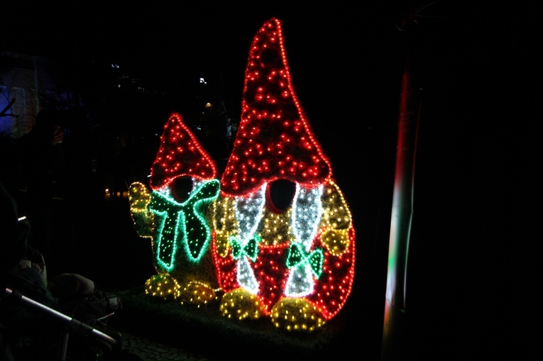 Zimowa iluminacja Ogrodu Botanicznego we Wrocławiu