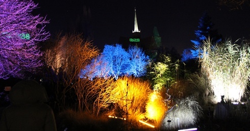 Zimowa iluminacja Ogrodu Botanicznego we Wrocławiu
