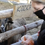 Żywa szopka w Starczowie