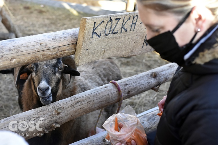 Żywa szopka w Starczowie