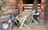 W Ostroszowicach Świętej Rodzinie towarzyszyły kozy i owce. W przyszłym roku ma też być osiołek.