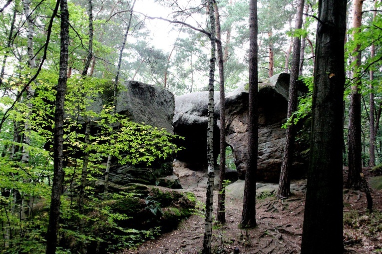 Ziemia świętych w hologramie