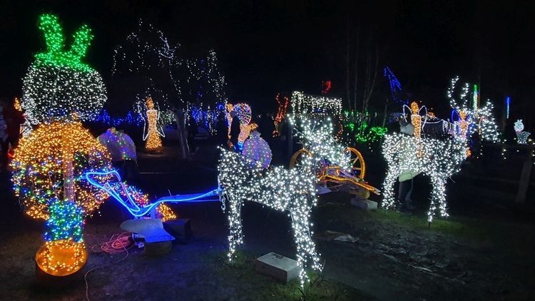 Świąteczna iluminacja w Gilowie