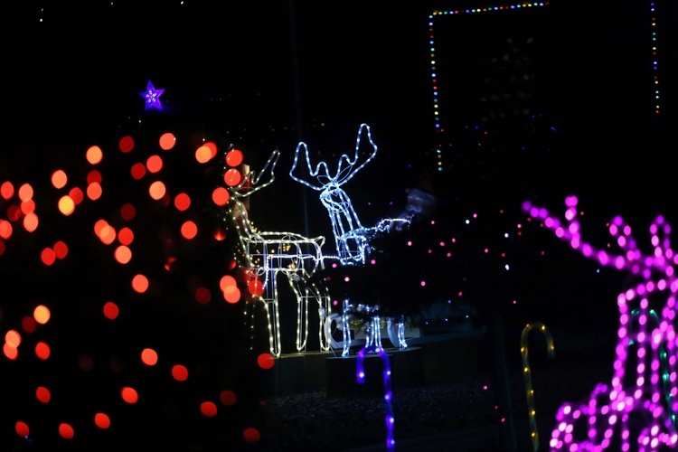 Szopka z tysięcy światełek