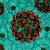 Czwartkowy raport MZ: 13 397 nowych zakażeń koronawirusem, najwięcej na Mazowszu