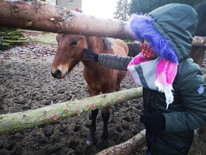Żywa szopka w Błoniu