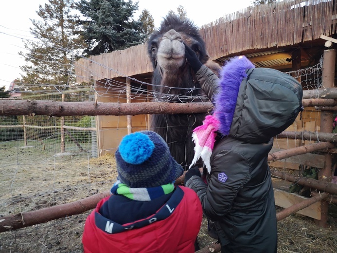 Żywa szopka w Błoniu