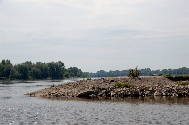 Solec nad Wisłą znów jest miastem