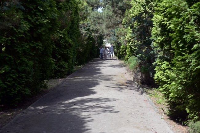 Solec nad Wisłą znów jest miastem