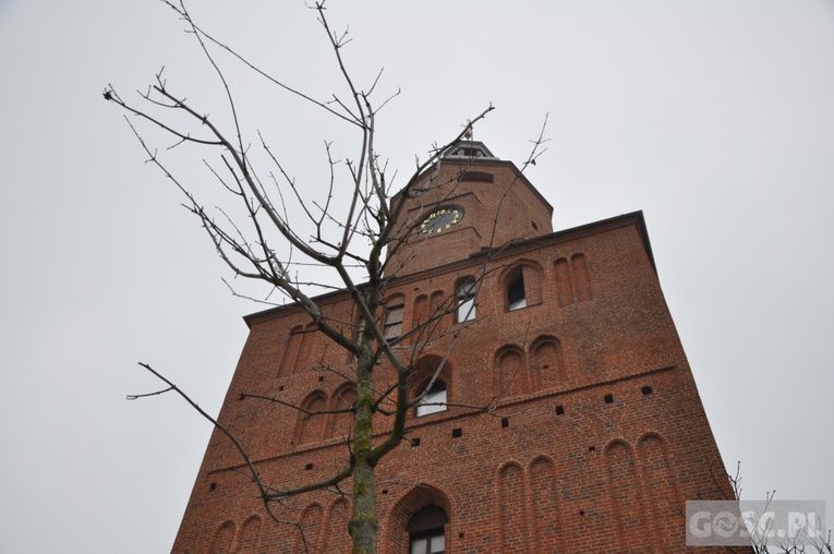 Noworoczne spojrzenie na katedrę