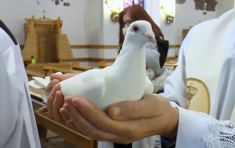 Jodłowa. Gołąb pokoju wypuszczony w niebo