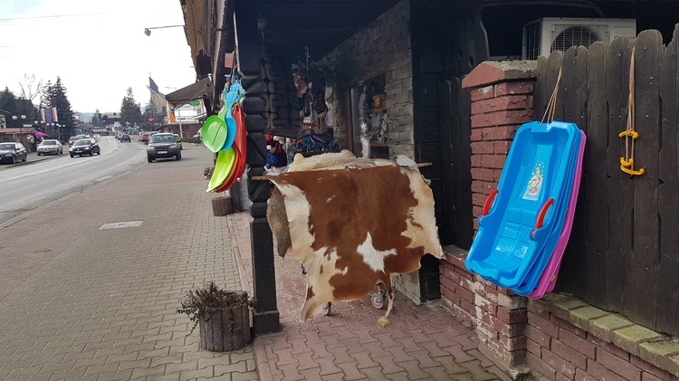 Beskidy. Jak wyglądają ferie w Szczyrku?