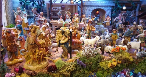 Stajenki z naszych domów