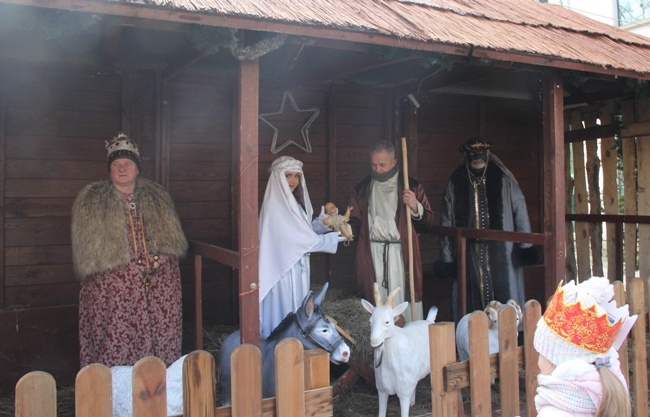 Żywa szopka w święto Trzech Króli