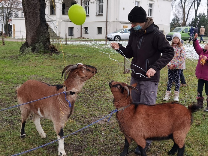 Trzej Królowie w Mrozowie 2021 czyli gra terenowa i kolędowanie