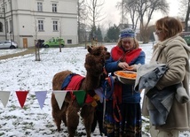 Trzej Królowie w Mrozowie 2021 czyli gra terenowa i kolędowanie