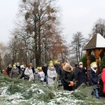 Orszak Trzech Króli w Brzegu (parafia pw. Miłosierdzia Bożego)