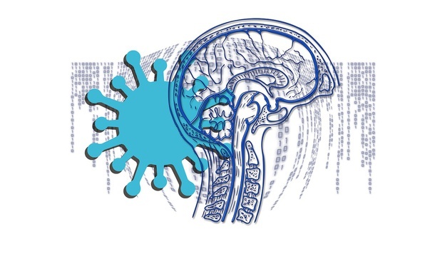 Badania: Koronawirus może uszkadzać mózg, nie wnikając do niego
