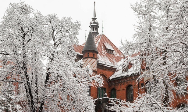 Propozycje Muzeum Górnośląskiego w lockdownie