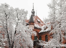 Propozycje Muzeum Górnośląskiego w lockdownie