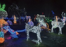 ▲	Wśród świetlnych figur można znaleźć anioły, renifery i inne świąteczne symbole.