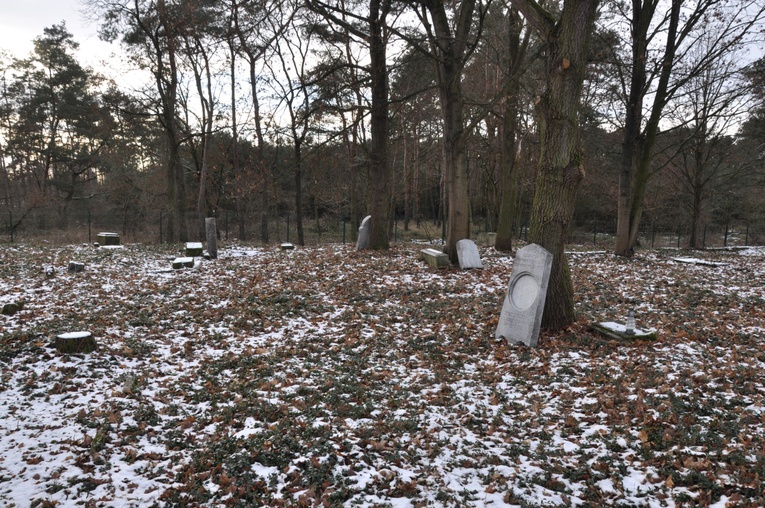 Odnowiony kirkut w Dębowej