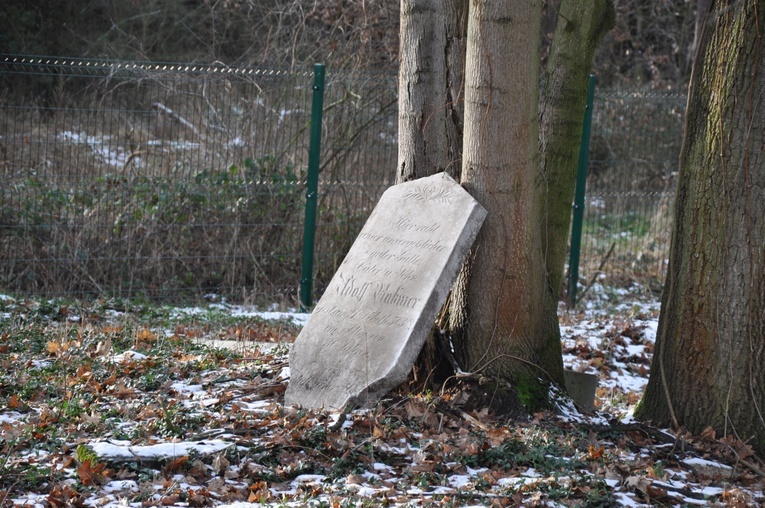 Odnowiony kirkut w Dębowej