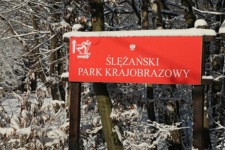 Tłum na szczycie zaśnieżonej Ślęży 