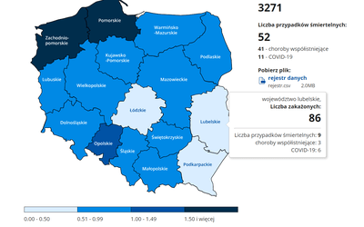 Województwo lubelskie: 86 nowych przypadków zakażenia koronawirusem