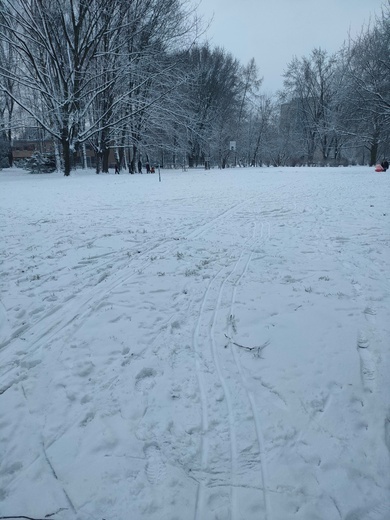 Konkurs szopek w Arce Pana