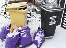 Wysokość opłaty za wywóz śmieci nawet w sąsiadujących ze sobą gminach potrafi się bardzo różnić.