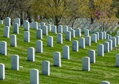 Wyobraź sobie cmentarz dla 62,5 miliona ludzi. To ofiary legalnej aborcji w USA