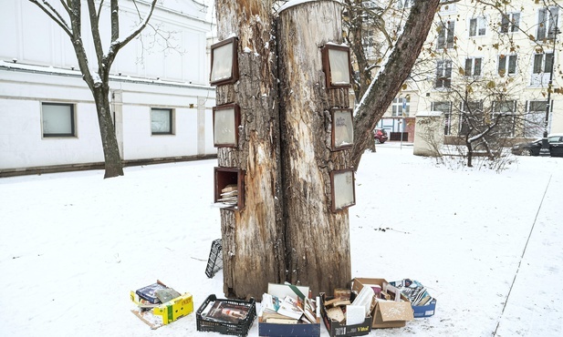 Biblioteka na drzewie